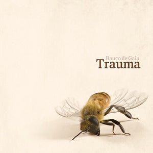 BANCO DE GAIA | TRAUMA