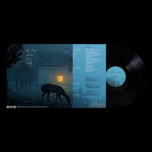 DERMOT KENNEDY | I'VE TOLD THE TREES EVERYTHING