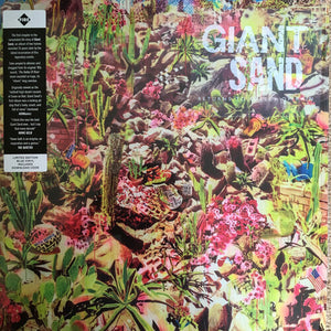 GIANT SAND | RETURNS TO VALLEY OF RAIN