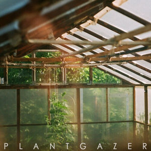 SHOW ME A DINOSAUR | PLANTGAZER