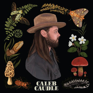 CALEB CAUDLE | SWEET CRITTERS
