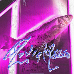 VIRGINIE B | ASTRAL 2000
