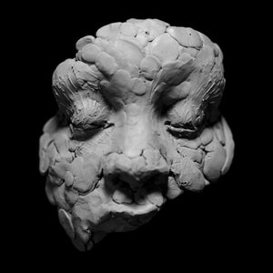 JOY OLADOKUN | OBSERVATIONS FROM A CROWDED ROOM (VINYL)