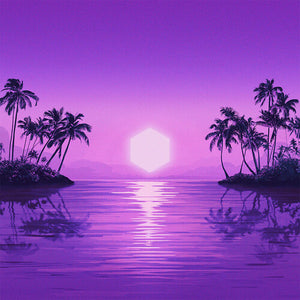 PURPLE DISCO MACHINE | PARADISE