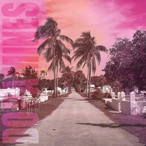 THE DOPAMINES | 80/20