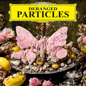 FELIX HENKELHAUSEN | DERANGED PARTICLES