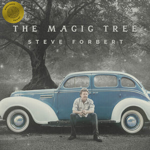 STEVE FORBERT | MAGIC TREE
