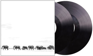 DAVE MATTHEWS | WHERE ARE YOU GOING - THE SINGLES (2LP SET) (VINYL)