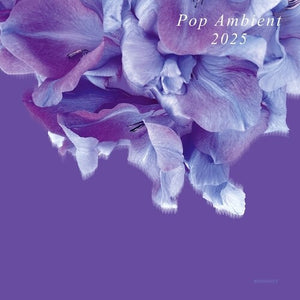 VARIOUS ARTISTS | POP AMBIENT 2025 / VARIOUS