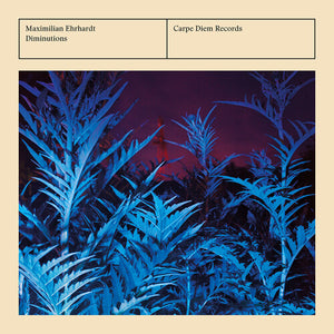 MAXIMILIAN EHRHARDT | DIMINUTIONS
