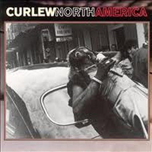 CURLEW | NORTH AMERICA