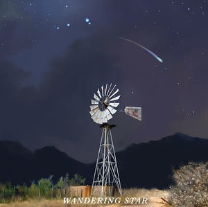 FLATLAND CAVALRY | WANDERING STAR