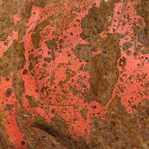 PURPLE TRAP (LASWELL,HAINO,ALI) | STONE