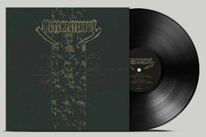 METEMPSYCHOSIS | METEMPSYCHOSIS