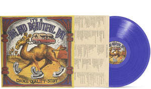 IT'S A BEAUTIFUL DAY | CHOICE QUALITY STUFF/ANYTIME - PURPLE