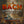 J.S. BACH | BACH: EASTER ORATORIO: MAGNIFICAT