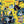 GING NANG BOYZ | BLEW BLUE