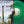 BOB CATLEY | TOWER