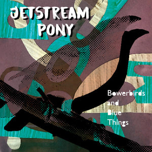 JETSTREAM PONY | BOWERBIRDS AND BLUE THINGS