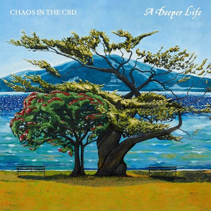 CHAOS IN THE CBD | DEEPER LIFE