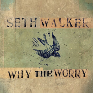 SETH WALKER | WHY THE WORRY