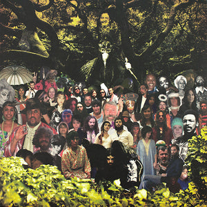DEVENDRA BANHART | CRIPPLE CROW - 2LP