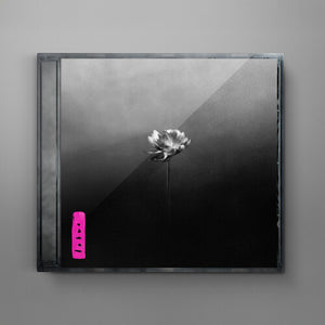 LITTLE SIMZ | LOTUS