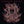 CORPUS OFFAL | CORPUS OFFAL