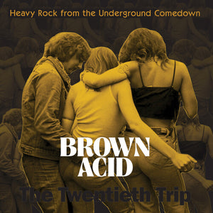 VARIOUS ARTISTS | BROWN ACID TWENTIETH TRIP / VARIOUS