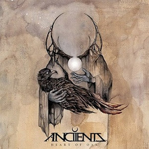 ANCIIENTS | HEART OF OAK