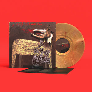ALAN SPARHAWK / TRAMPLED BY TURTLES | WITH TRAMPLED BY TURTLES (SUNFLARE EDITION) (VINYL)