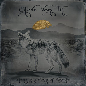 STEVE VON TILL | ALONE IN A WORLD OF WOUNDS