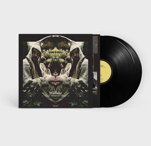 MIDLAKE | COURAGE OF OTHERS
