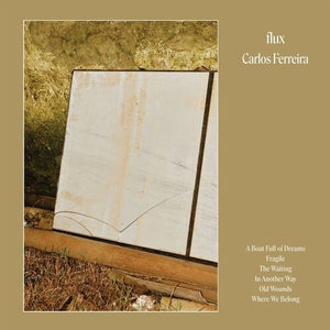 CARLOS FERREIRA | FLUX