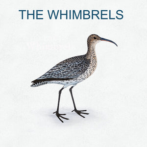THE WHIMBRELS^WHIMBRELS | WHIMBRELS