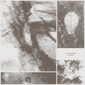 PARK JIHA | ALL LIVING THINGS