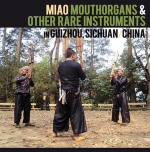 VARIOUS ARTISTS | MIAO MOUTHORGANS & OTHER RARE INSTRUMENTS IN / VAR