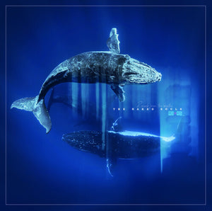 NAKED SOUL | REVERB FROM THE DEPTHS