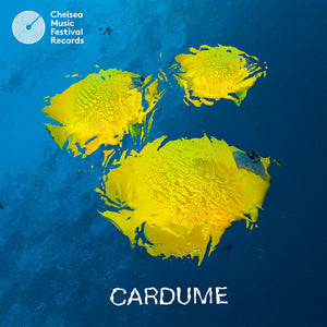 CARDUME | CARDUME