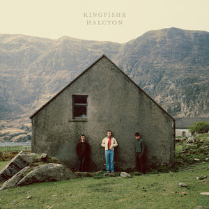 KINGFISHR | HALCYON