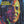 ALPHA BLONDY | HUMAN RACE