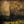 TENEBRAE IN PERPETUUM | VACUUM COELI