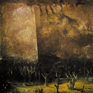 TENEBRAE IN PERPETUUM | VACUUM COELI