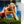 ZARA LARSSON | MIDNIGHT SUN (CLEAR EDITION) (VINYL)