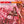 BOBBY MATOS / AND THE COMBO CONQUISTADORES | MY LATIN SOUL (SOFTPACK)