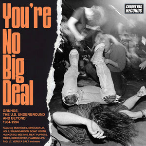 VARIOUS | YOU'RE NO BIG DEAL - GRUNGE THE US UNDERGROUND AND BEYOND 1984 - 1994 (4CD SET)