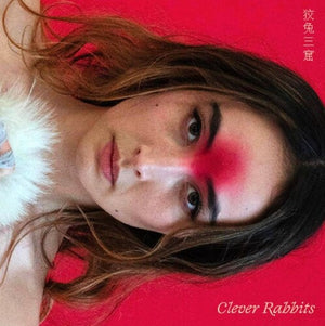 ANN LIU CANNON | CLEVER RABBITS