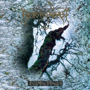 BORKNAGER | OLDEN DOMAIN
