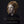 SONNAMBULA | PASSING FANCY - BEAUTY IN A MOMENT OF CHAOS