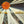 VARIOUS | CALIFORNIA JAM 2 (2LP)